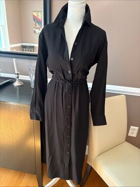 Everlane Black Long-Sleeve Button-Front Shirt Dress